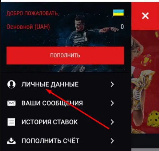 Placeholder screenshot for step 3